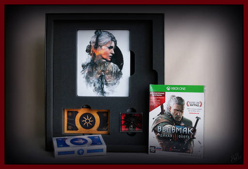 The Witcher 3: Wild Hunt - Фотообзор коллекционного издания "Ведьмак 3: Дикая Охота" для Xbox One The Witcher 3: Wild Hunt - Фотообзор коллекционного издания "Ведьмак 3: Дикая Охота" для Xbox One