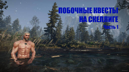 Ведьмак 3: Дикая Охота - Ведьмак 3: Прохождение. Скеллиге. Дополнительные миссии, не связанные с основным сюжетом. Часть 1: Ард Скеллиг Ведьмак 3: Дикая Охота - Ведьмак 3: Прохождение. Скеллиге. Дополнительные миссии, не связанные с основным сюжетом. Часть 1: Ард Скеллиг